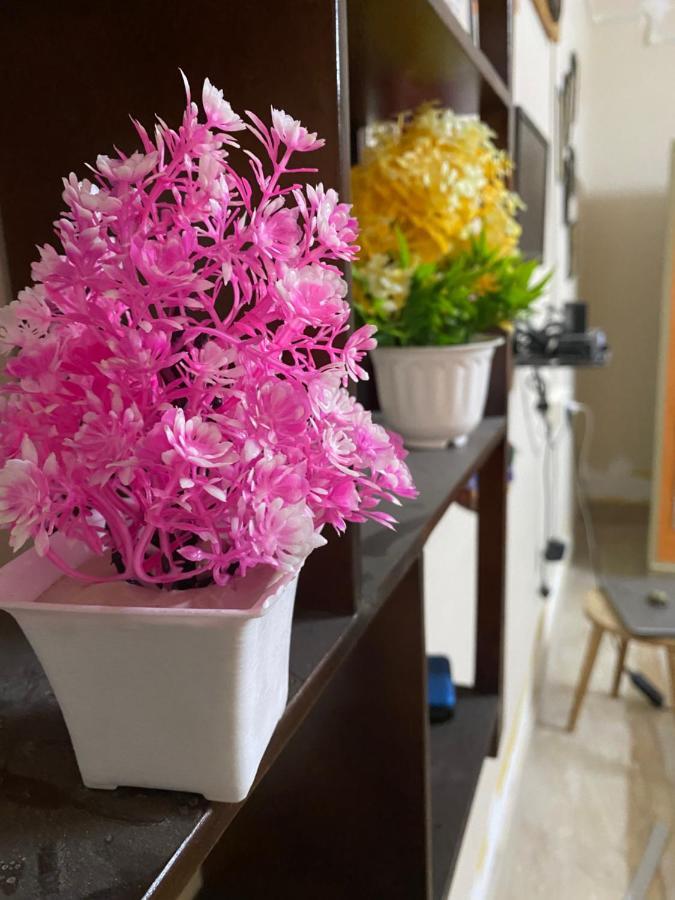 Jawai Bagpackers Hostel Sheoganj Ngoại thất bức ảnh